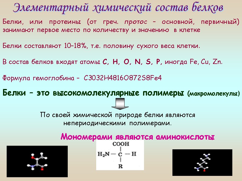 Элементарный химический состав белков  Белки, или протеины (от греч. протос – основной, первичный)